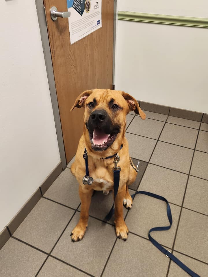 24th Street Animal Clinic