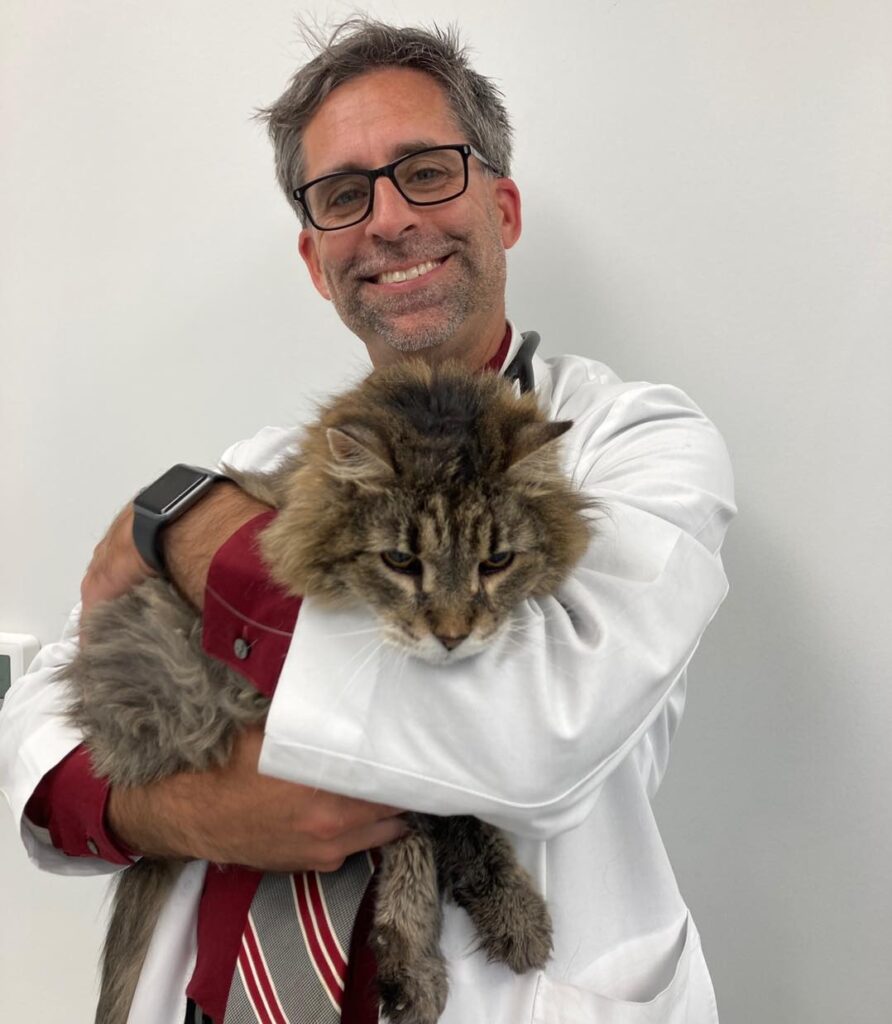 Broad Ripple Animal Clinic