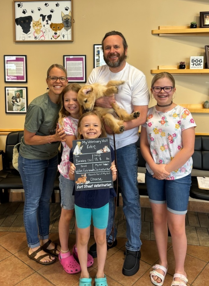 Fort Street Veterinarian