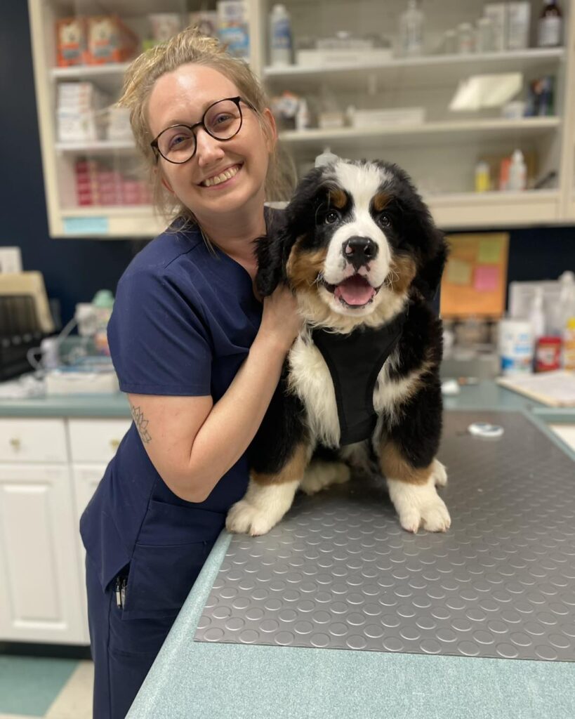 Independence Veterinary Hospital