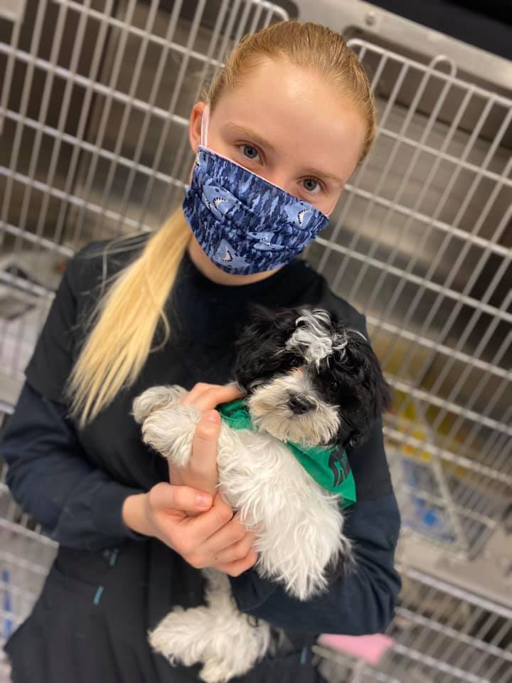Rockhill Pet Clinic