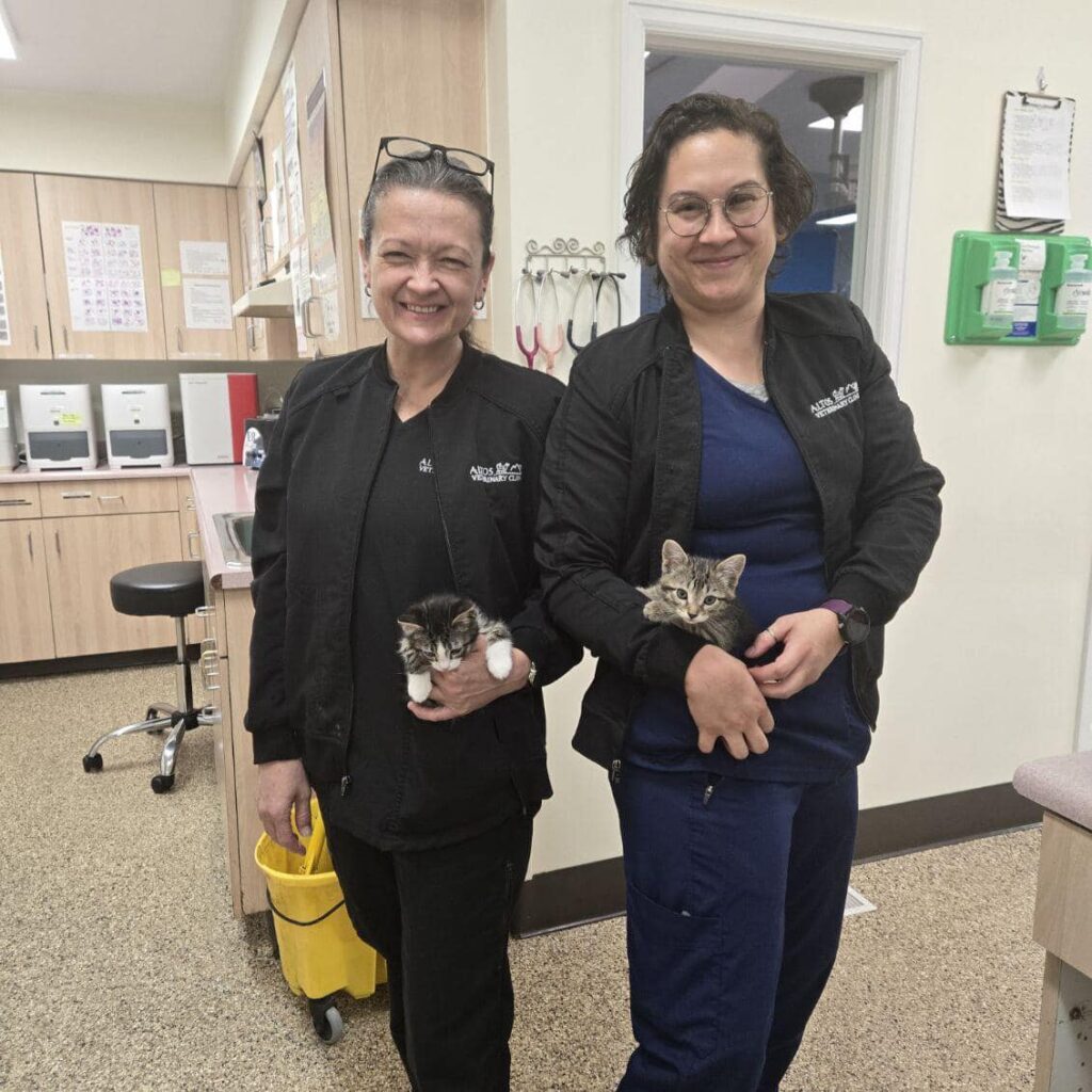 Altos Veterinary Clinic