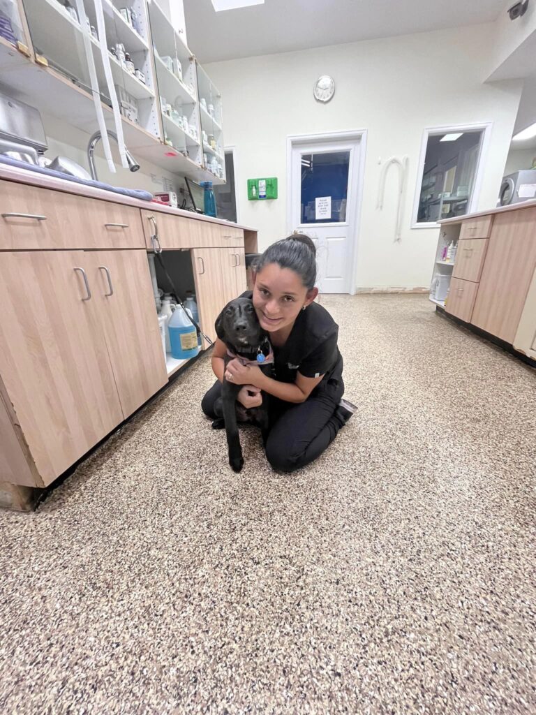 Altos Veterinary Clinic