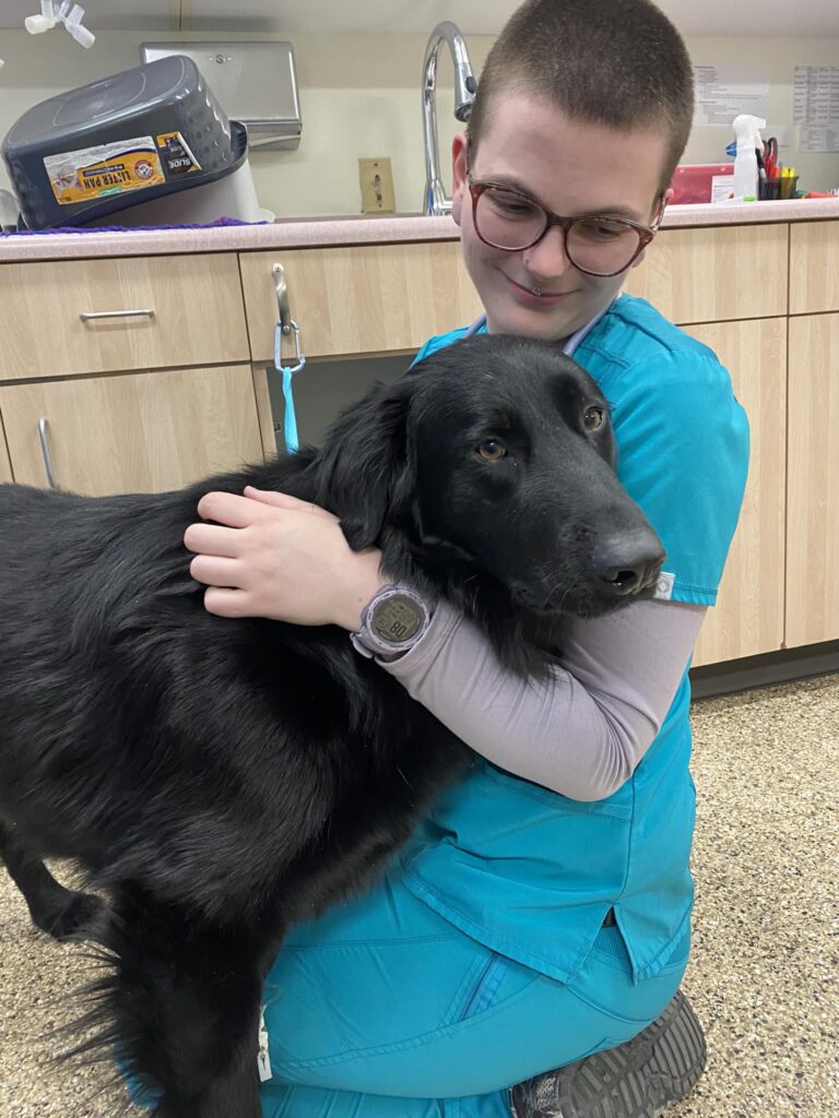 Altos Veterinary Clinic