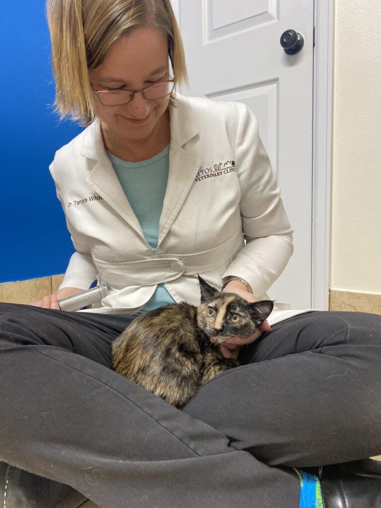 Altos Veterinary Clinic