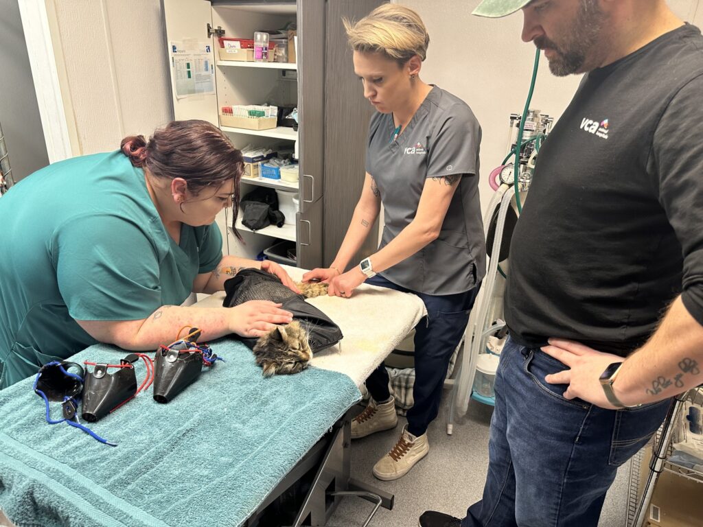 VCA Aspenwood Animal Hospital
