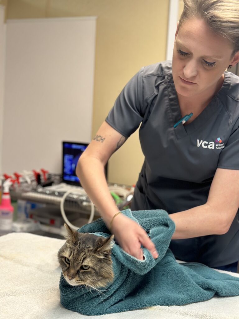 VCA Aspenwood Animal Hospital