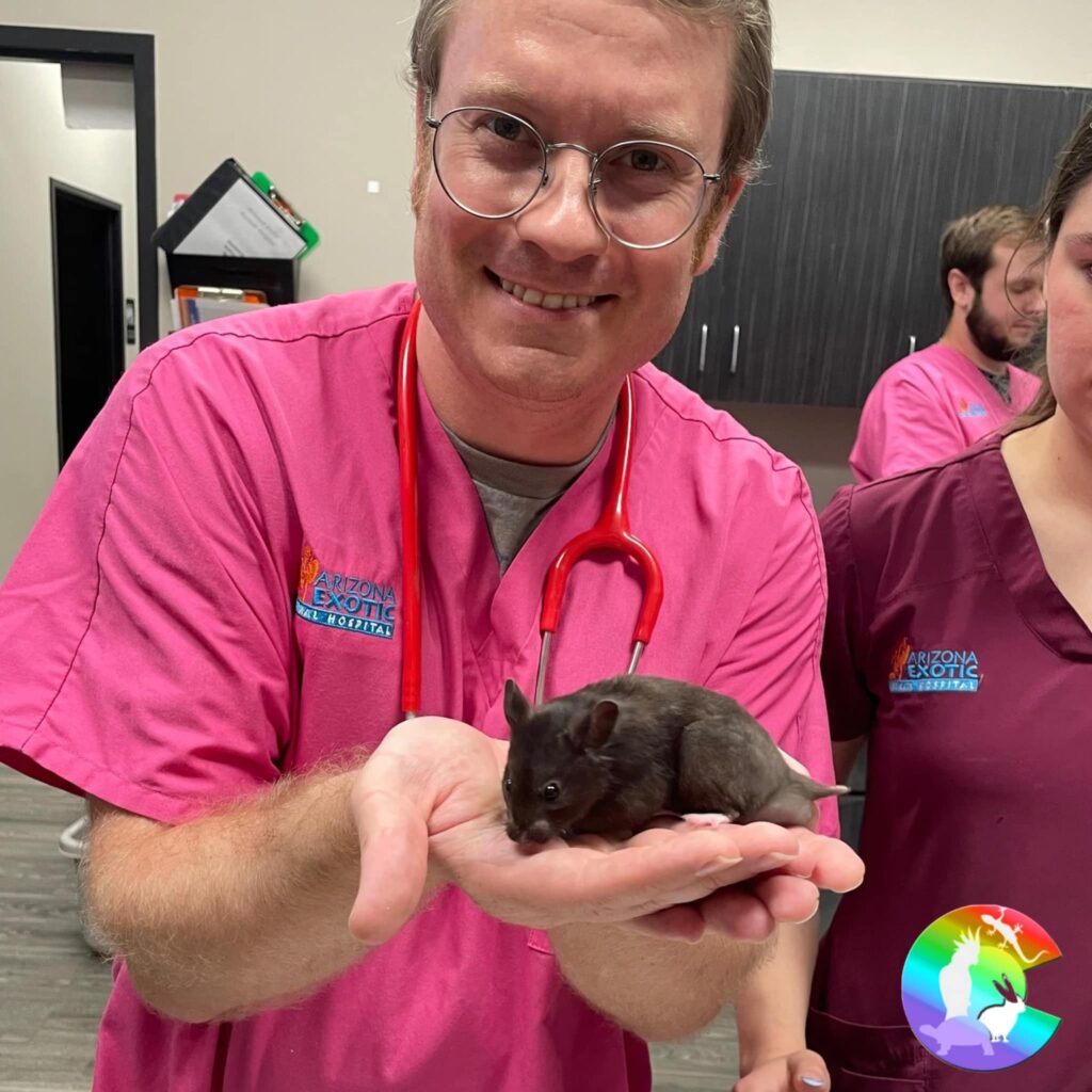 Colorado Exotic Animal Hospital