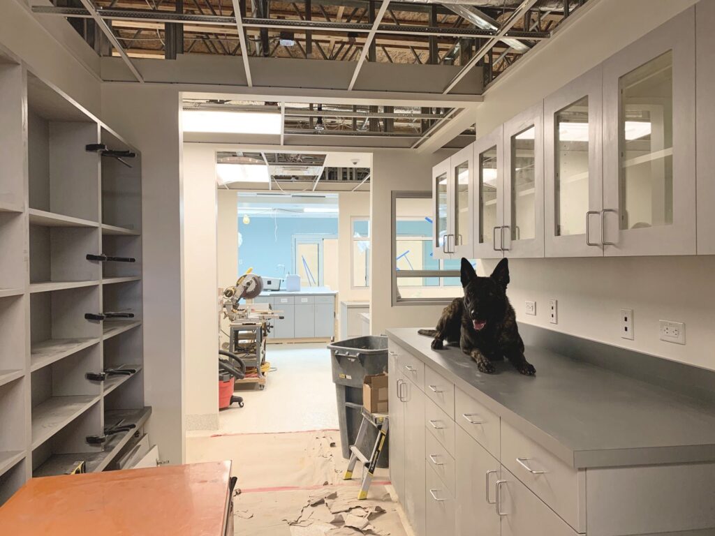 Colorado Veterinary Specialty Group