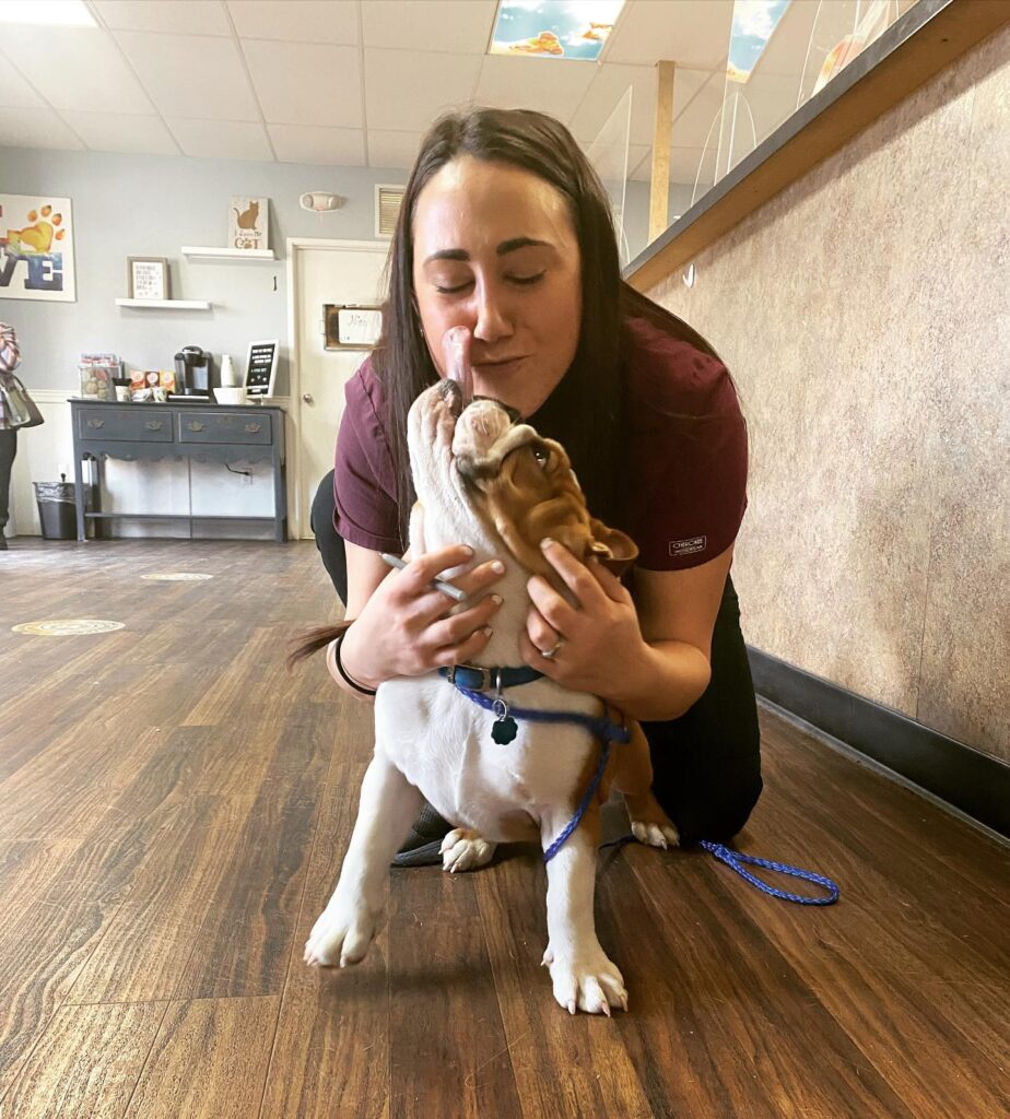 Downtown Animal Care Center