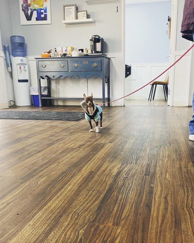 Downtown Animal Care Center