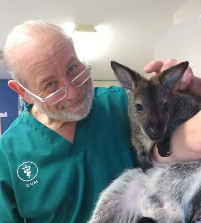 VetCare Animal Hospital
