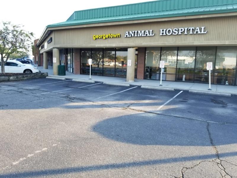 Georgetown Animal Hospital