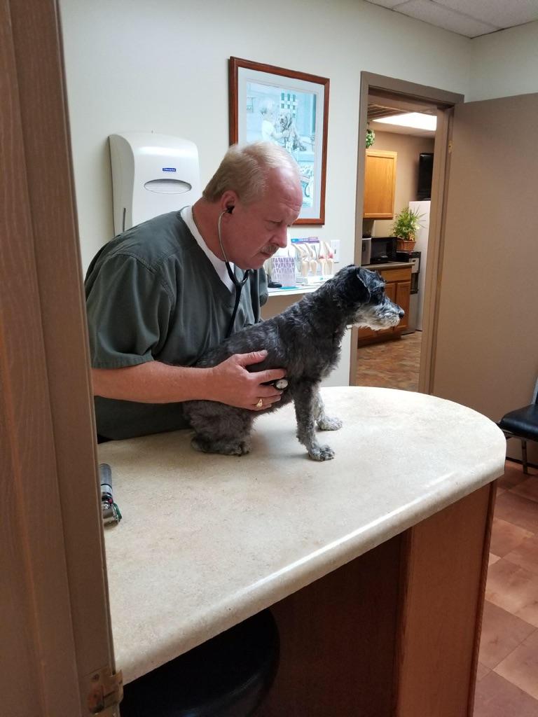 Georgetown Animal Hospital