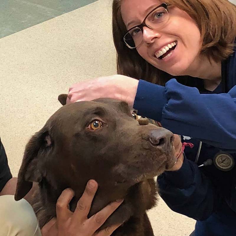 High Plains Veterinary Hospital