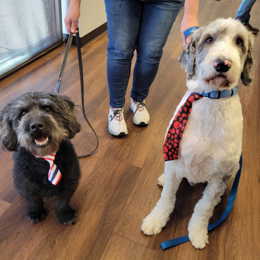 High Plains Veterinary Hospital