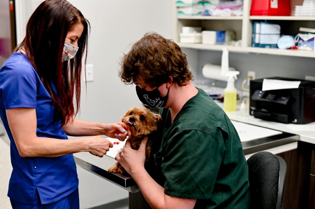 Johnson Animal Clinic