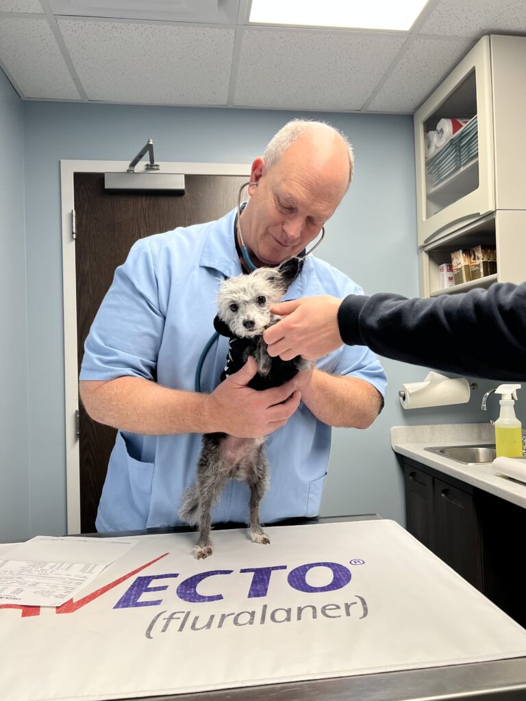 Johnson Animal Clinic