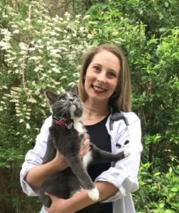 Dilworth Animal Hospital