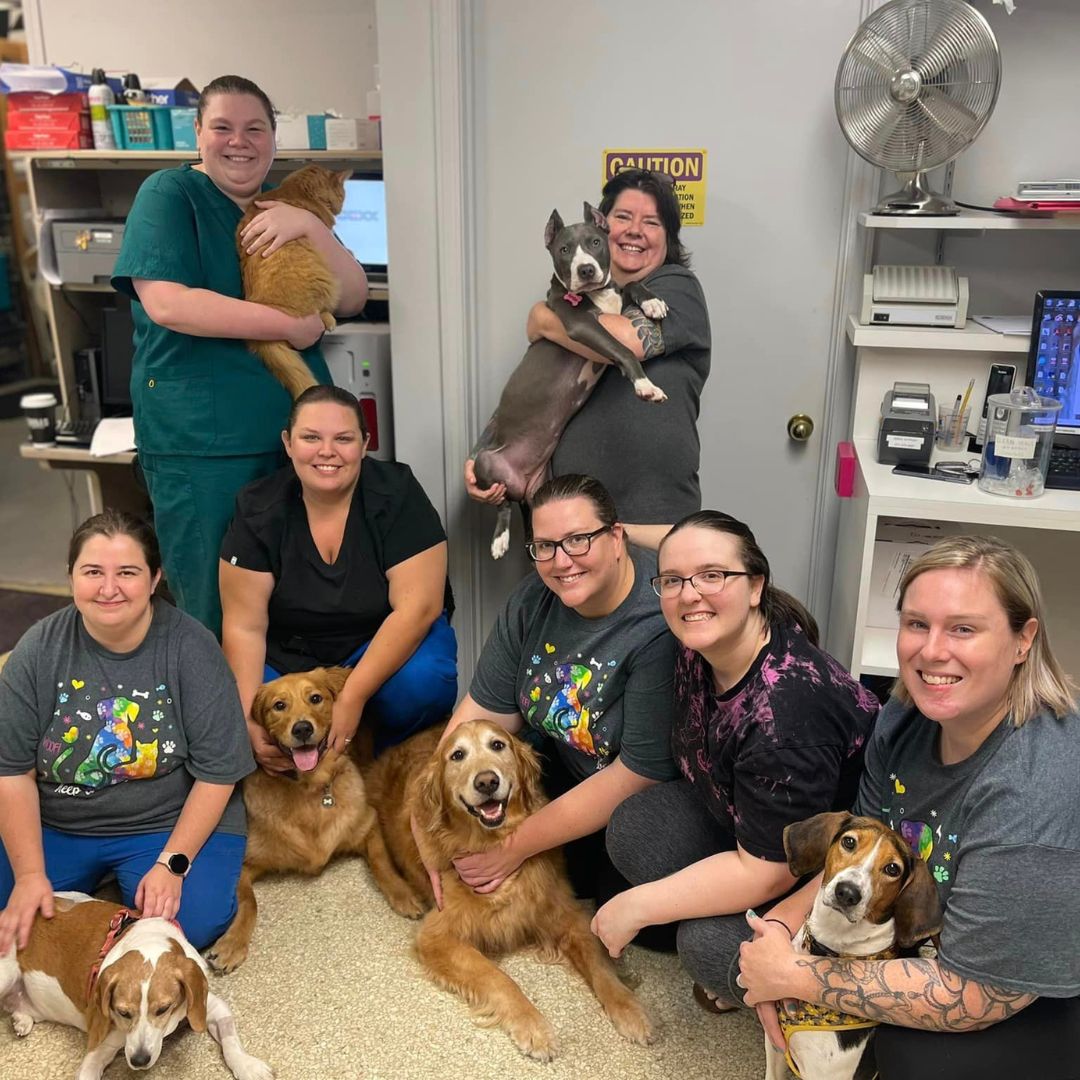 Seneca Animal Hospital