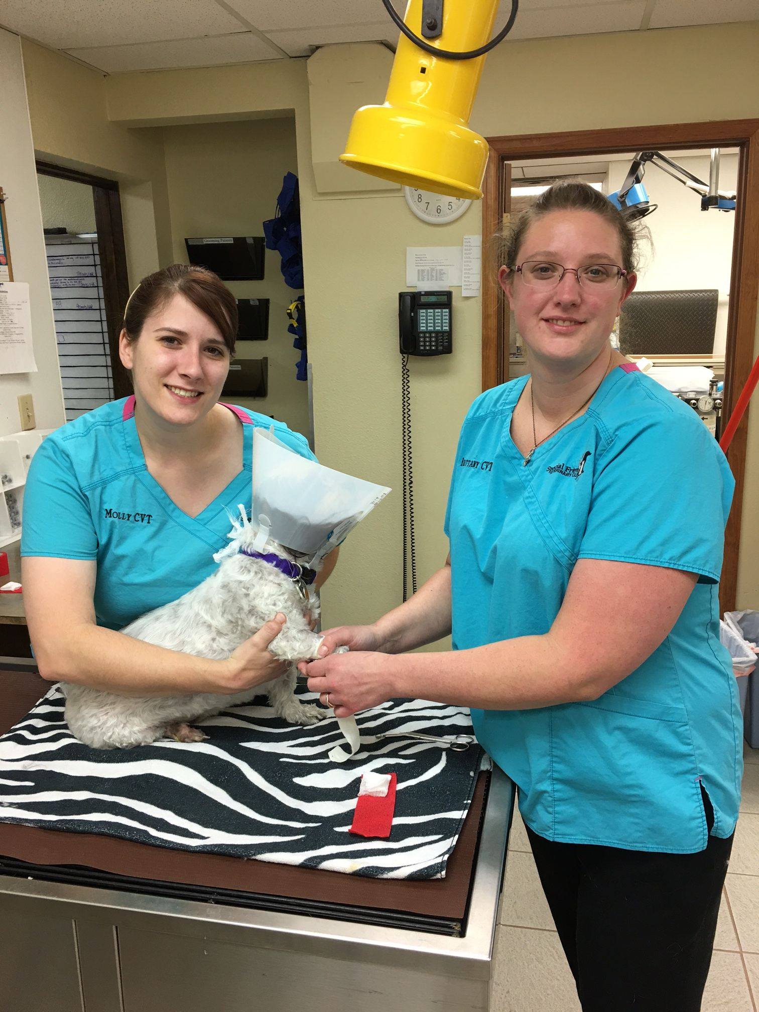Special Friends Veterinary Clinic & Grooming