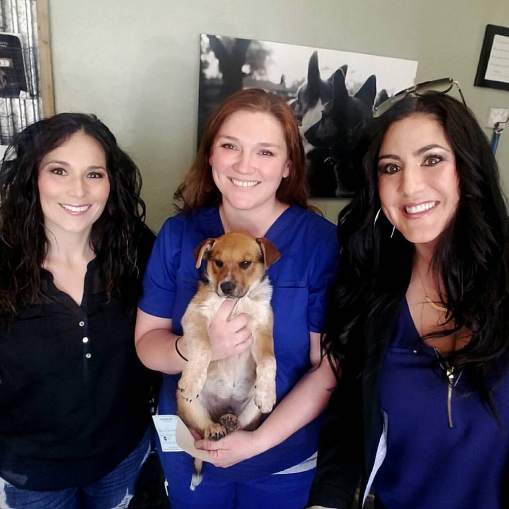 Sandia Animal Clinic