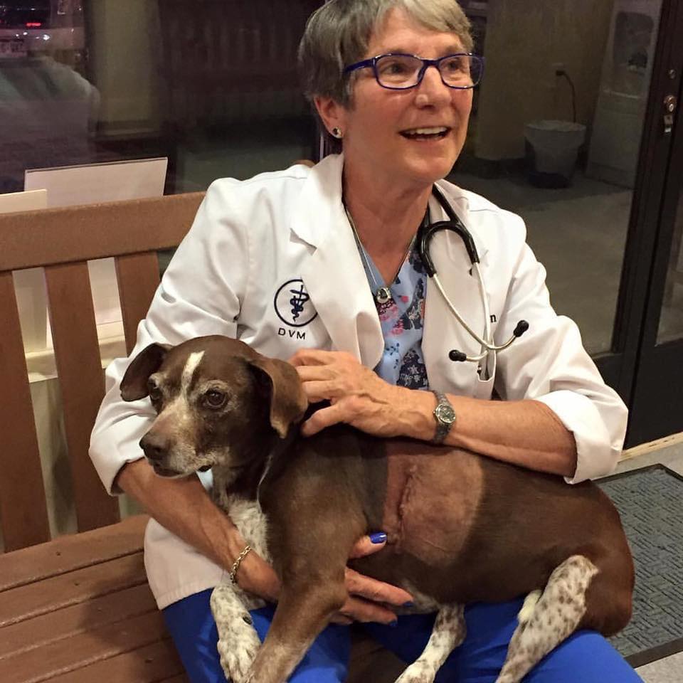 Parkside Animal Health Center