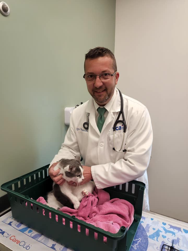 VCA Smoky Hill Animal Hospital