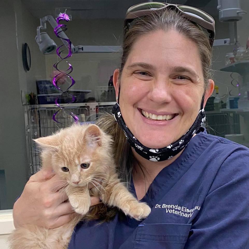Parkside Animal Health Center