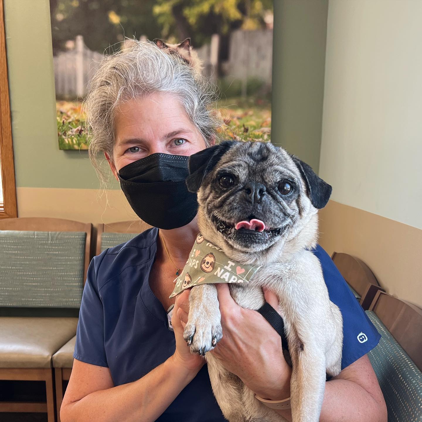 VCA Smoky Hill Animal Hospital