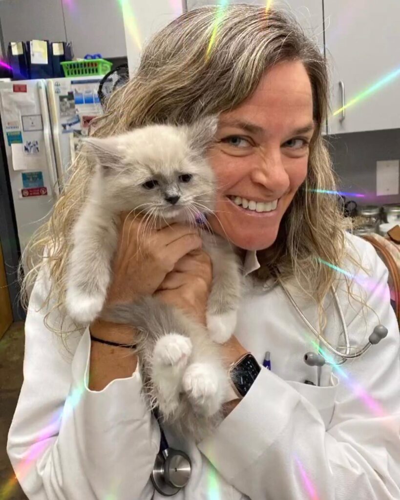 Downtown Greensboro Animal Hospital