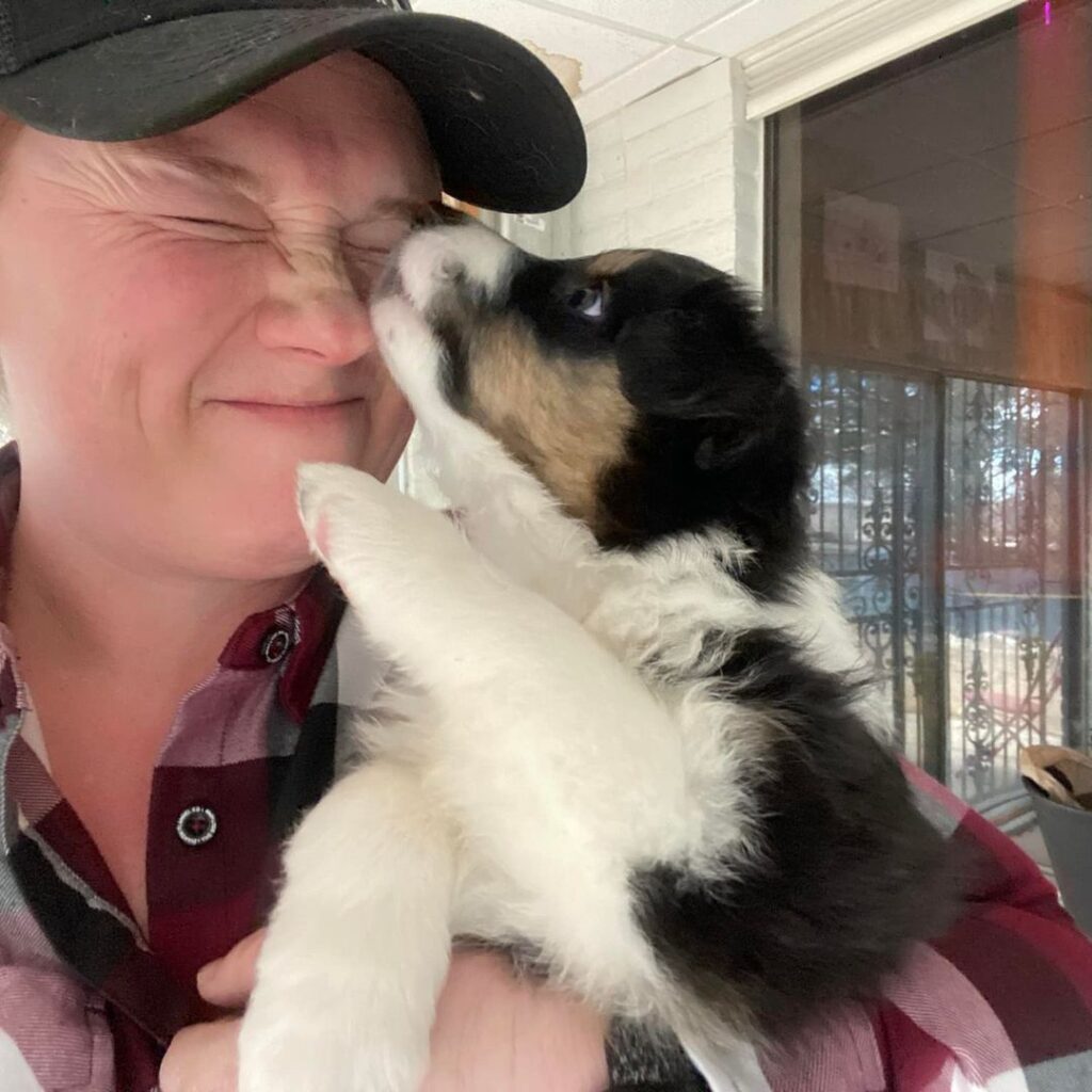 Sandia Animal Clinic