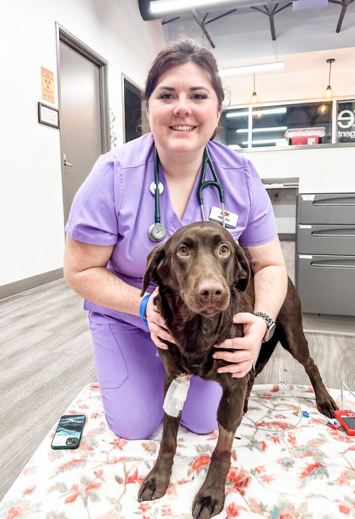 STATVet Animal Urgent Care