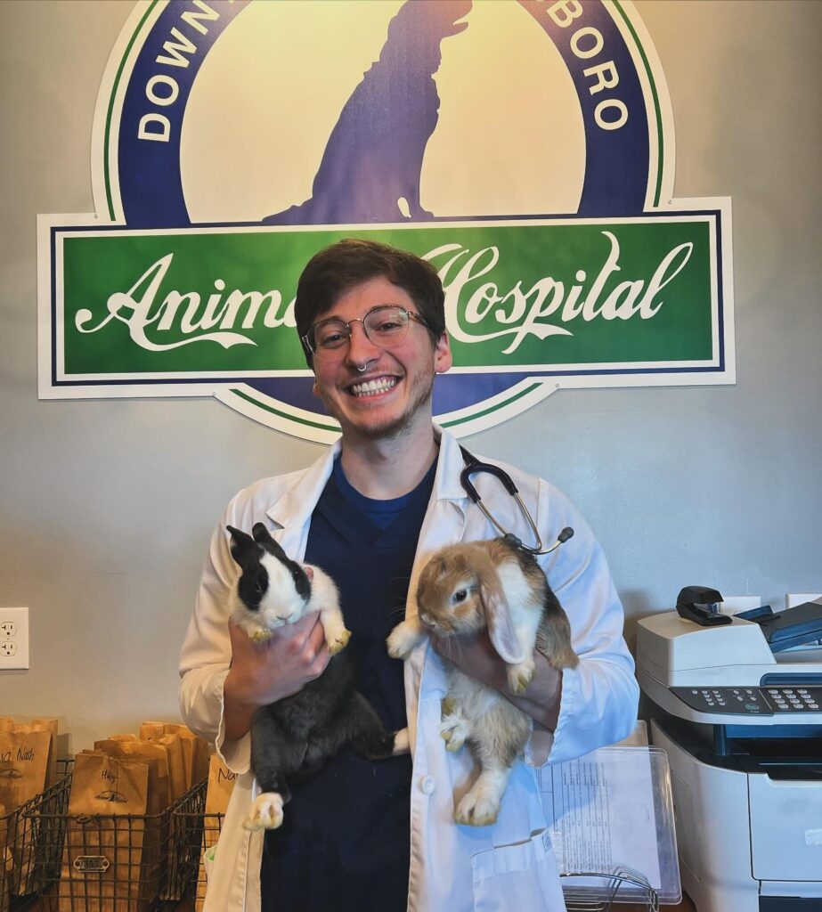 Downtown Greensboro Animal Hospital