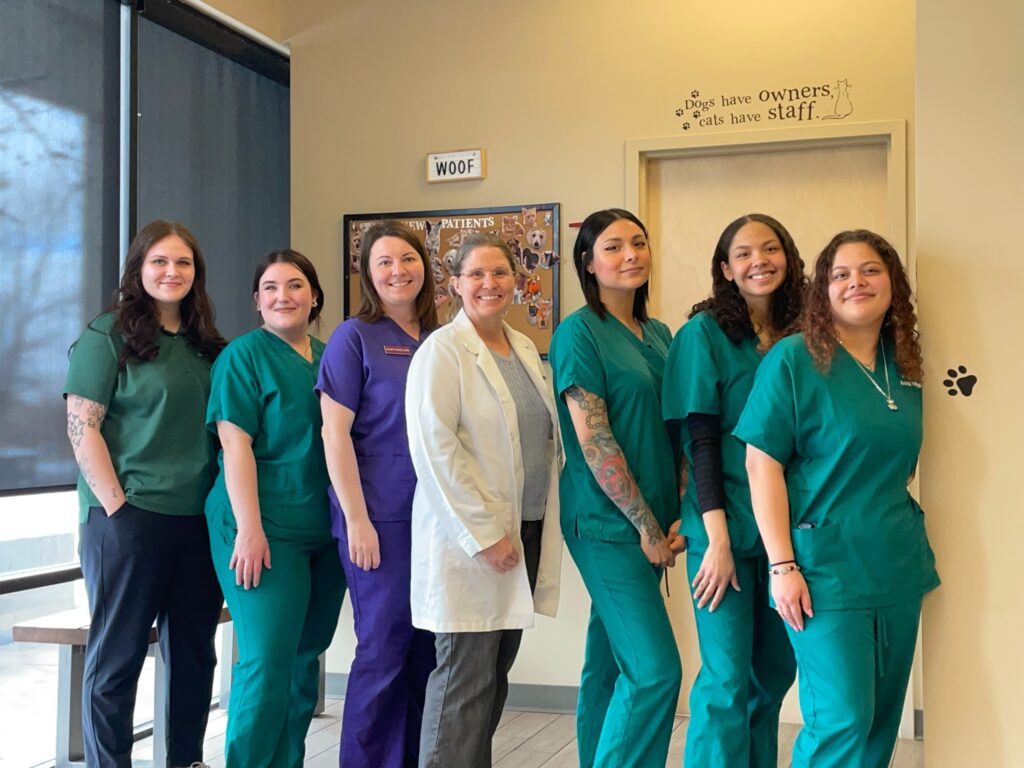 Aurora Hills Animal Hospital