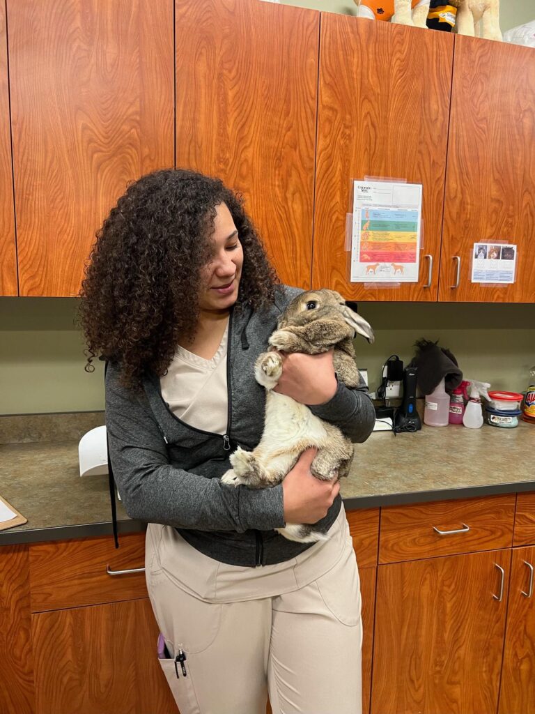 Loving Family Animal Hospital