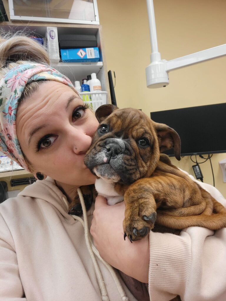 Kindness Animal Hospital