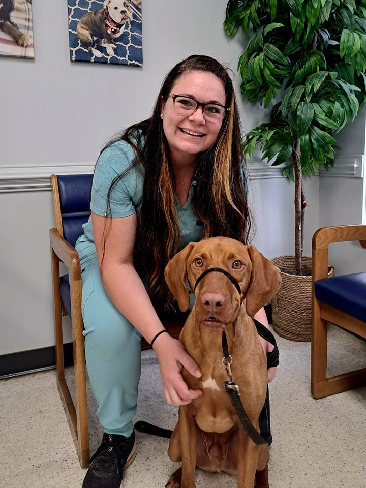 Dog & Cat Hospital