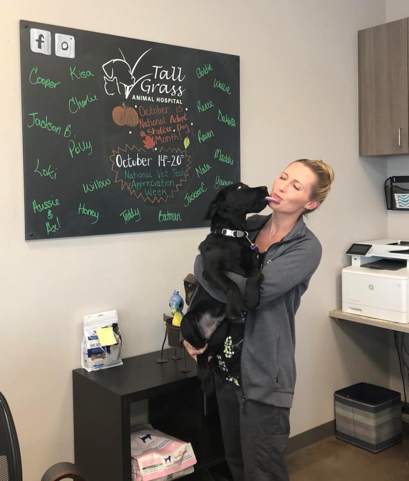 Tall Grass Animal Hospital