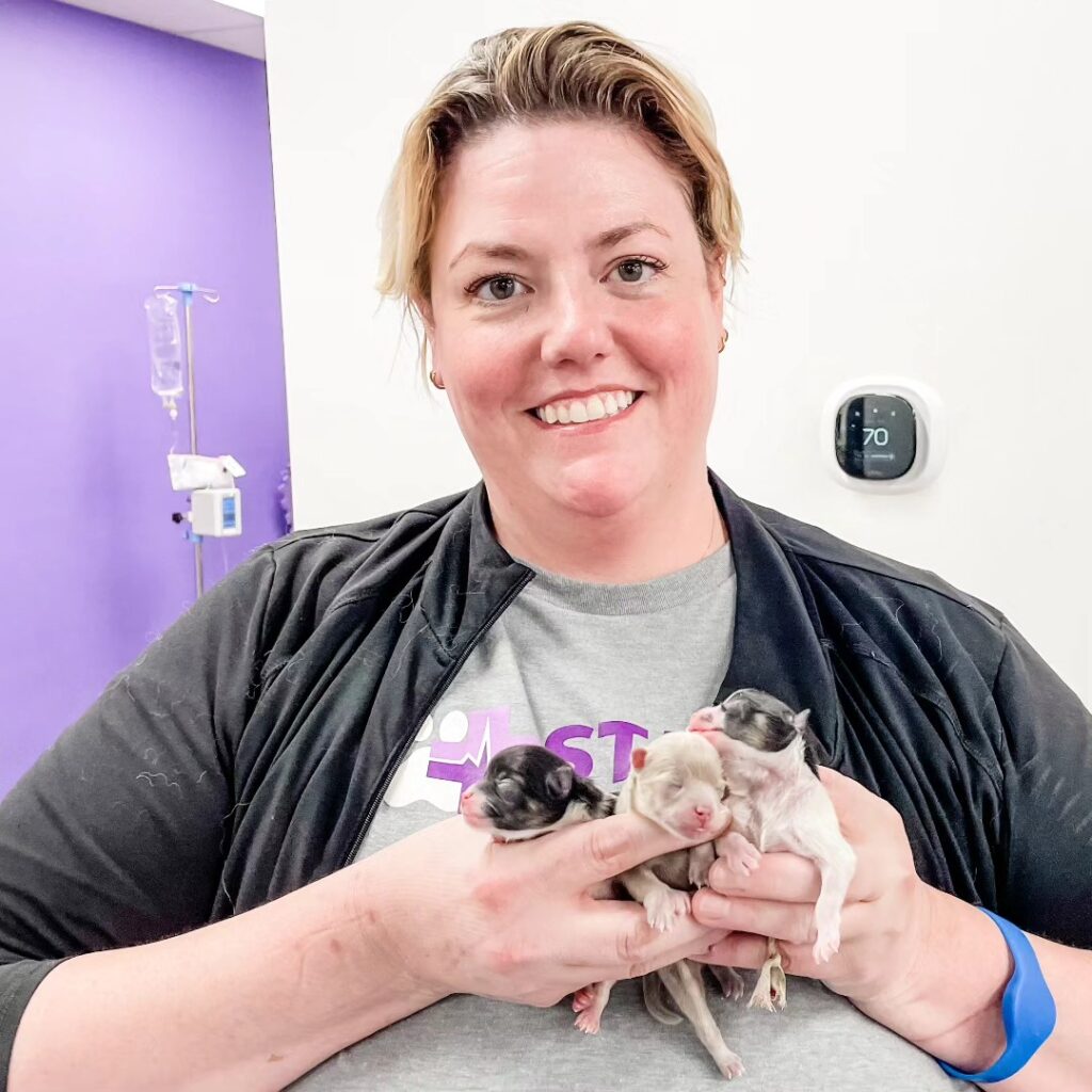 STATVet Animal Urgent Care
