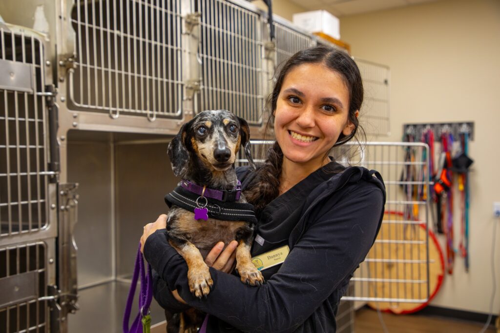 Animal Medical and Surgical Hospital