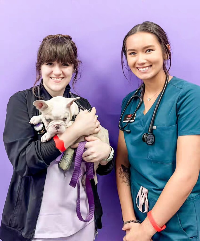 STATVet Animal Urgent Care