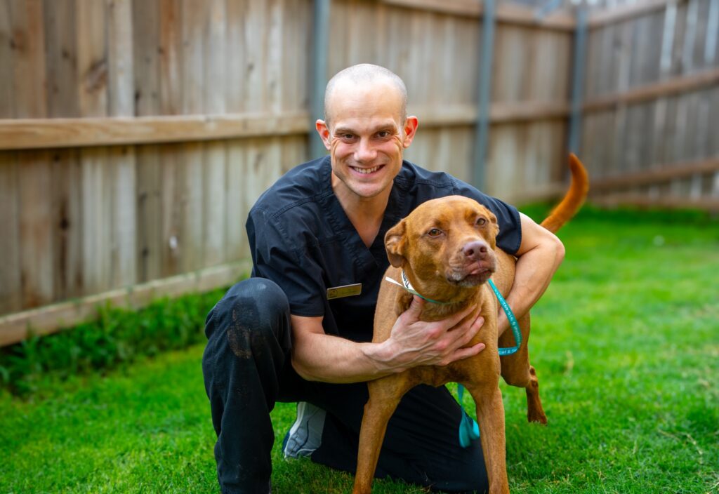 Animal Medical and Surgical Hospital