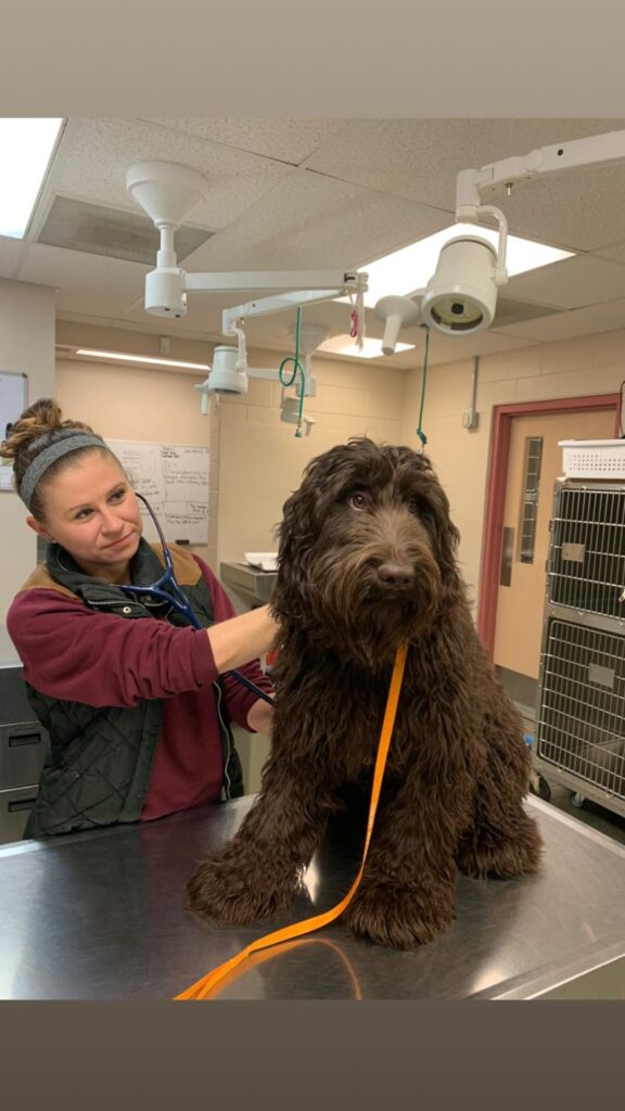 Friendly Animal Clinic