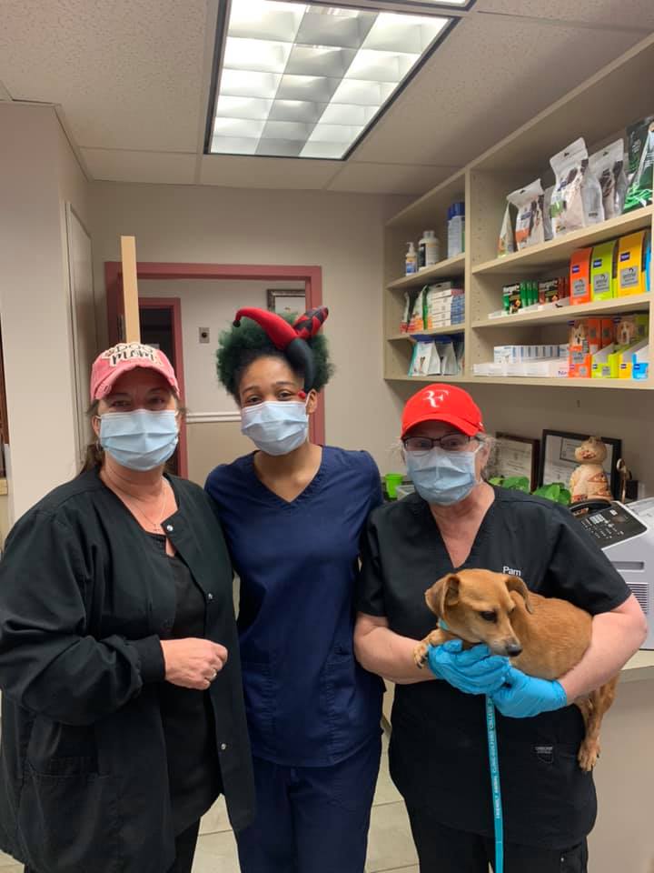 Friendly Animal Clinic